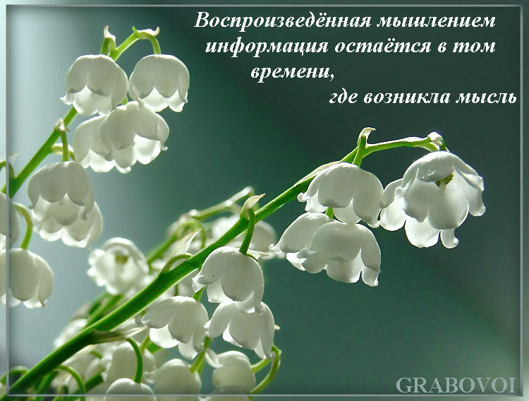 Григорий Грабовой