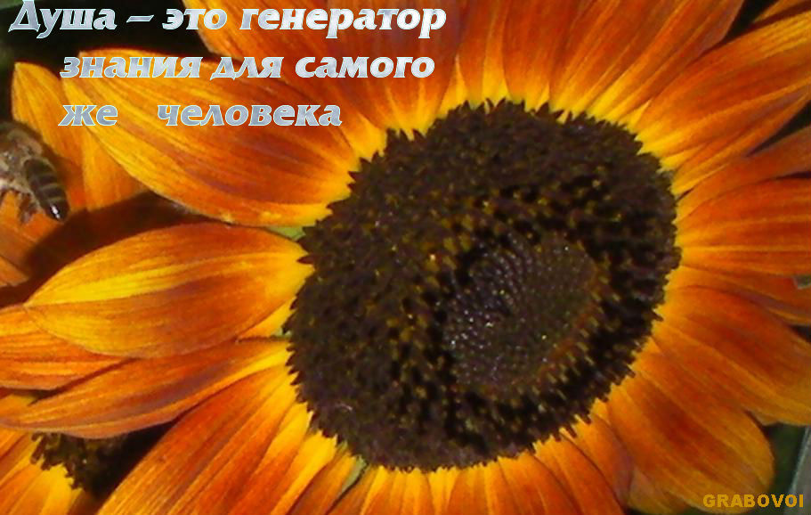 Григорий Грабовой