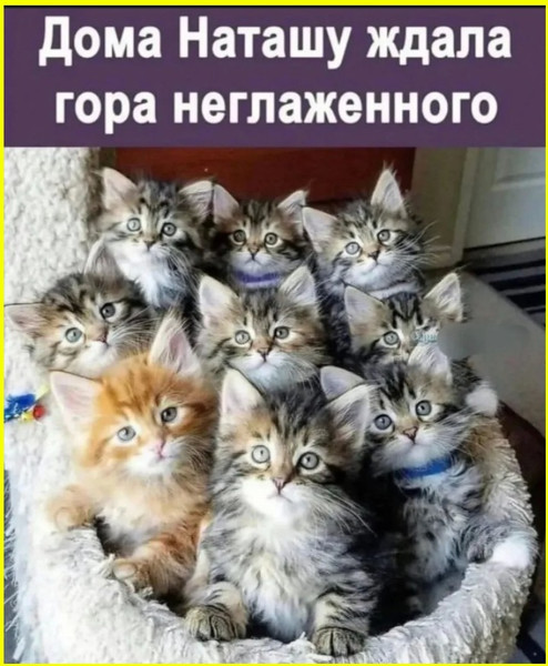 false
