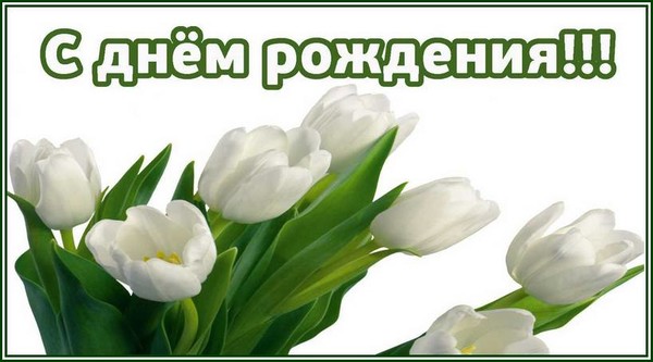 Открытка с днем рождения с белыми тюльпанами, днем