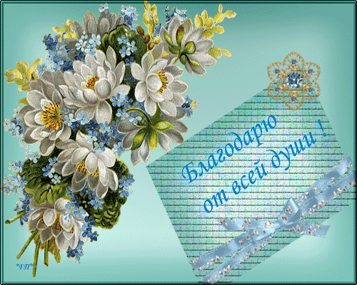 Картинки, гифы спасибо за внимание ко мне ирина