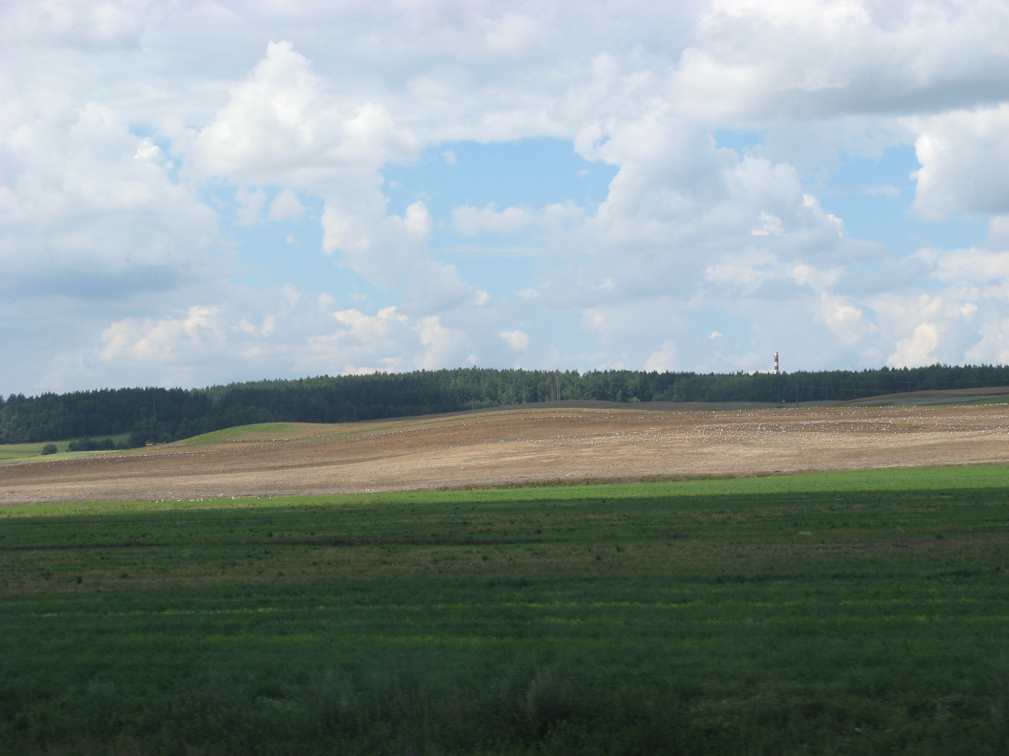 h-4569.jpg