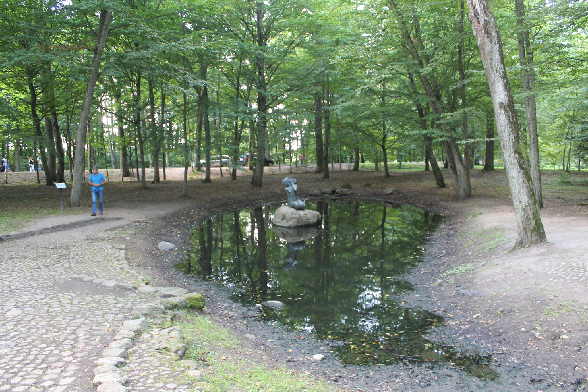 h-5395.jpg