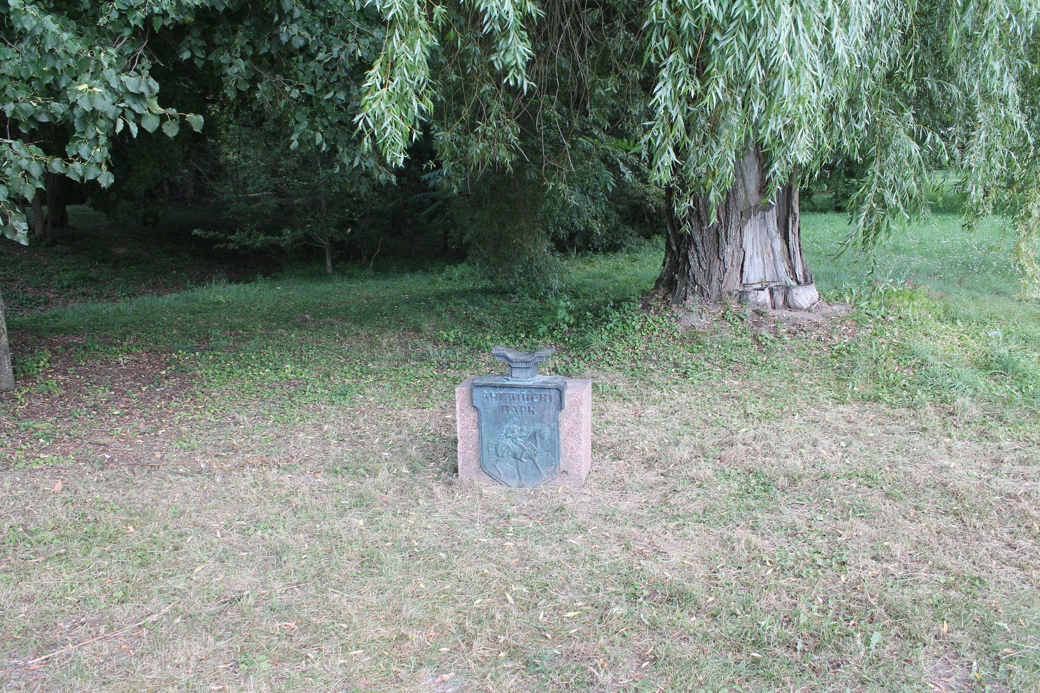 h-5442.jpg