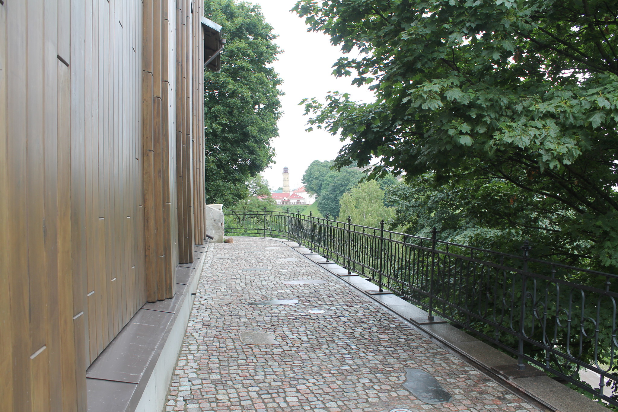 h-5545.jpg