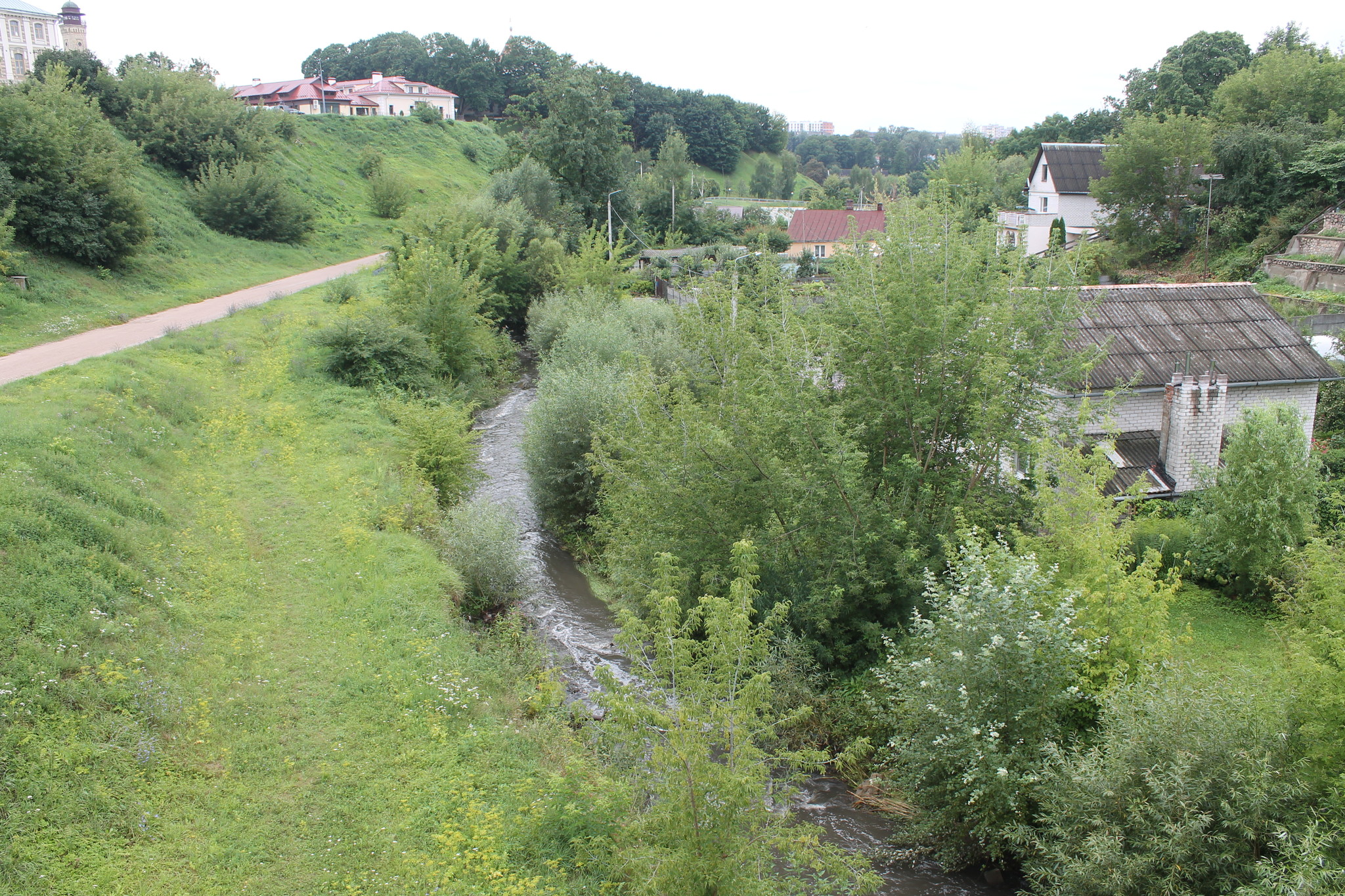 h-5553.jpg