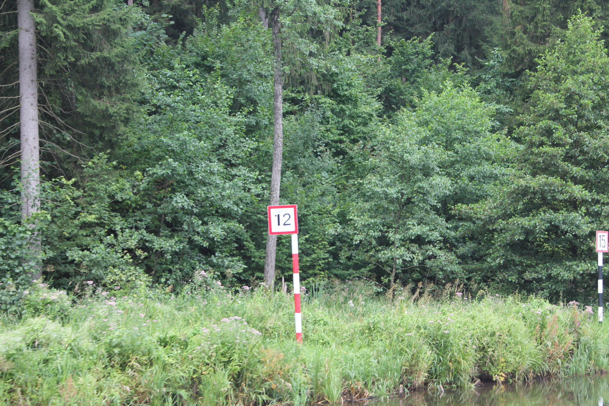 h-5597.jpg