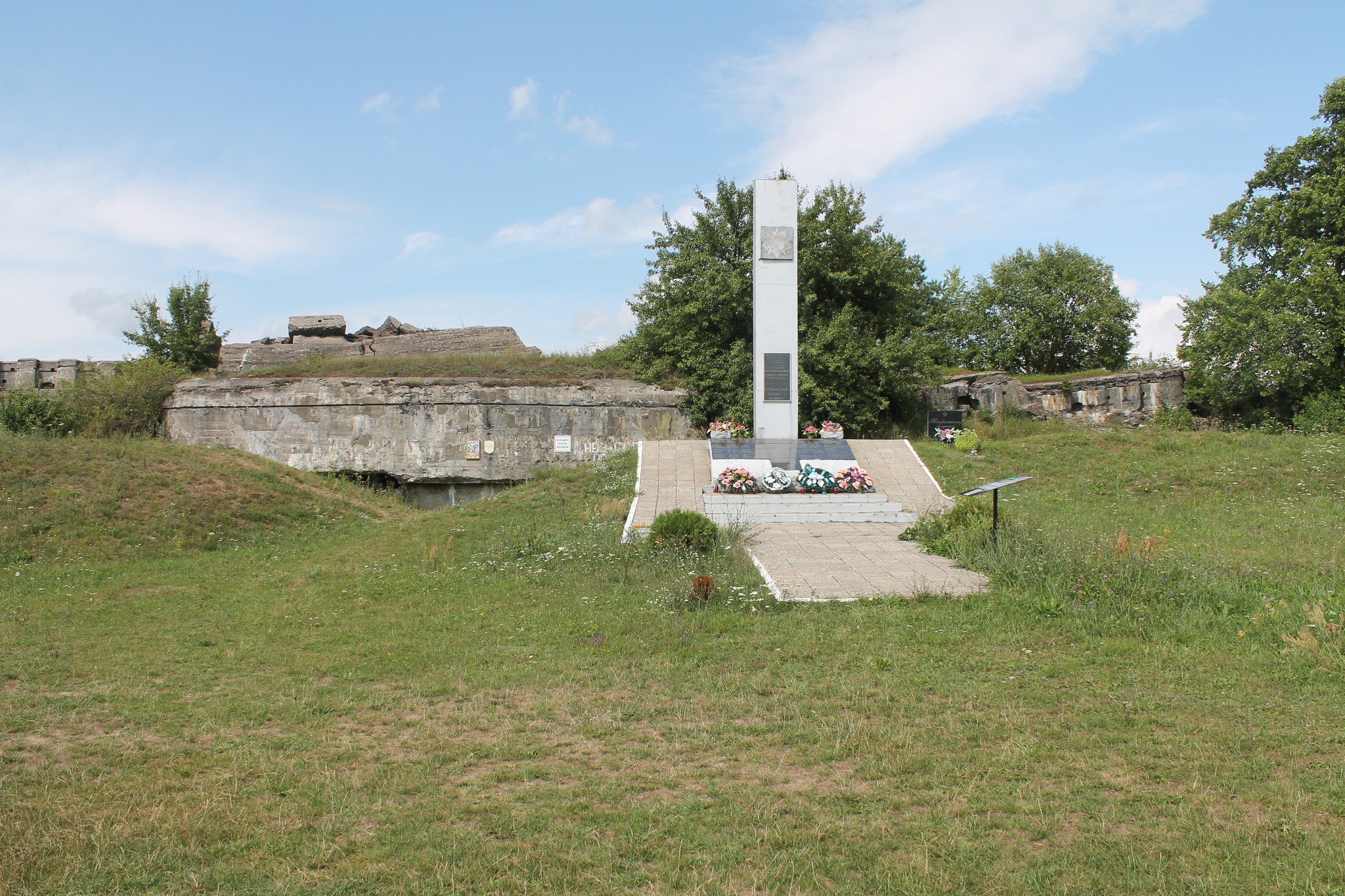 h-5690.jpg