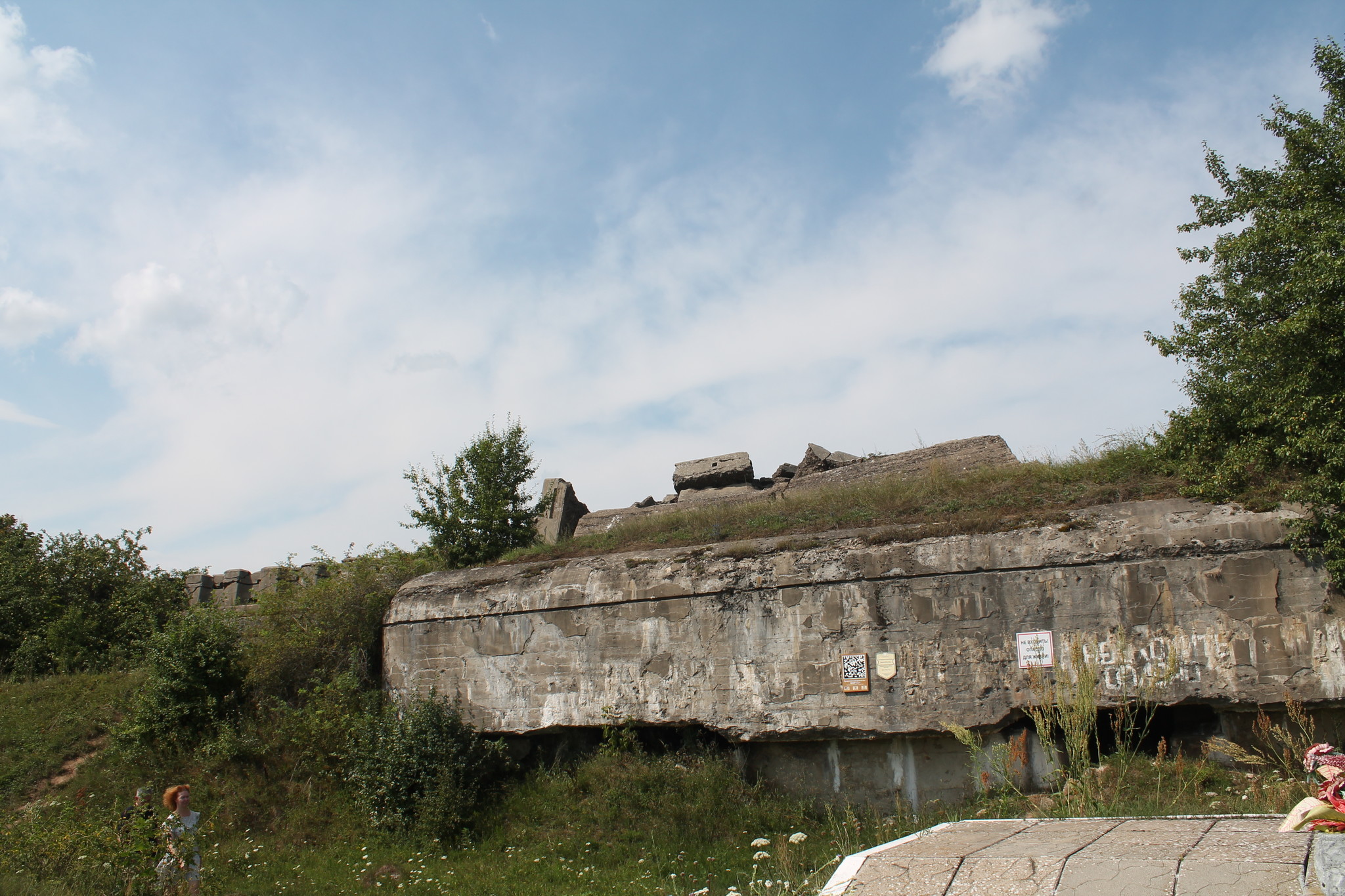 h-5697.jpg