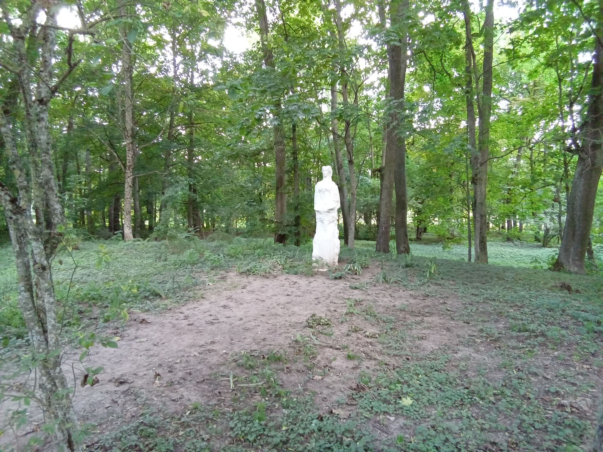 h-5970.jpg
