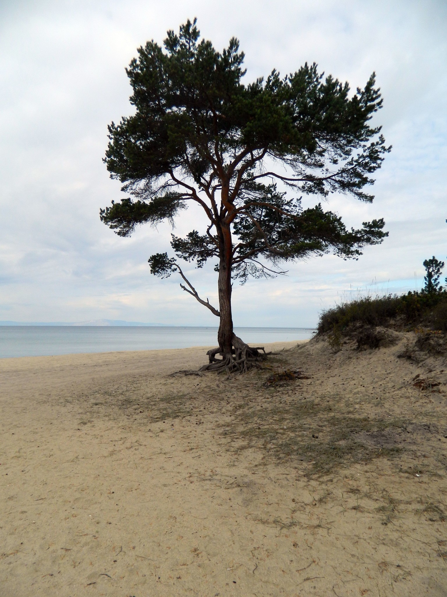 https://content.foto.my.mail.ru/mail/kosta999/103/h-3530.jpg