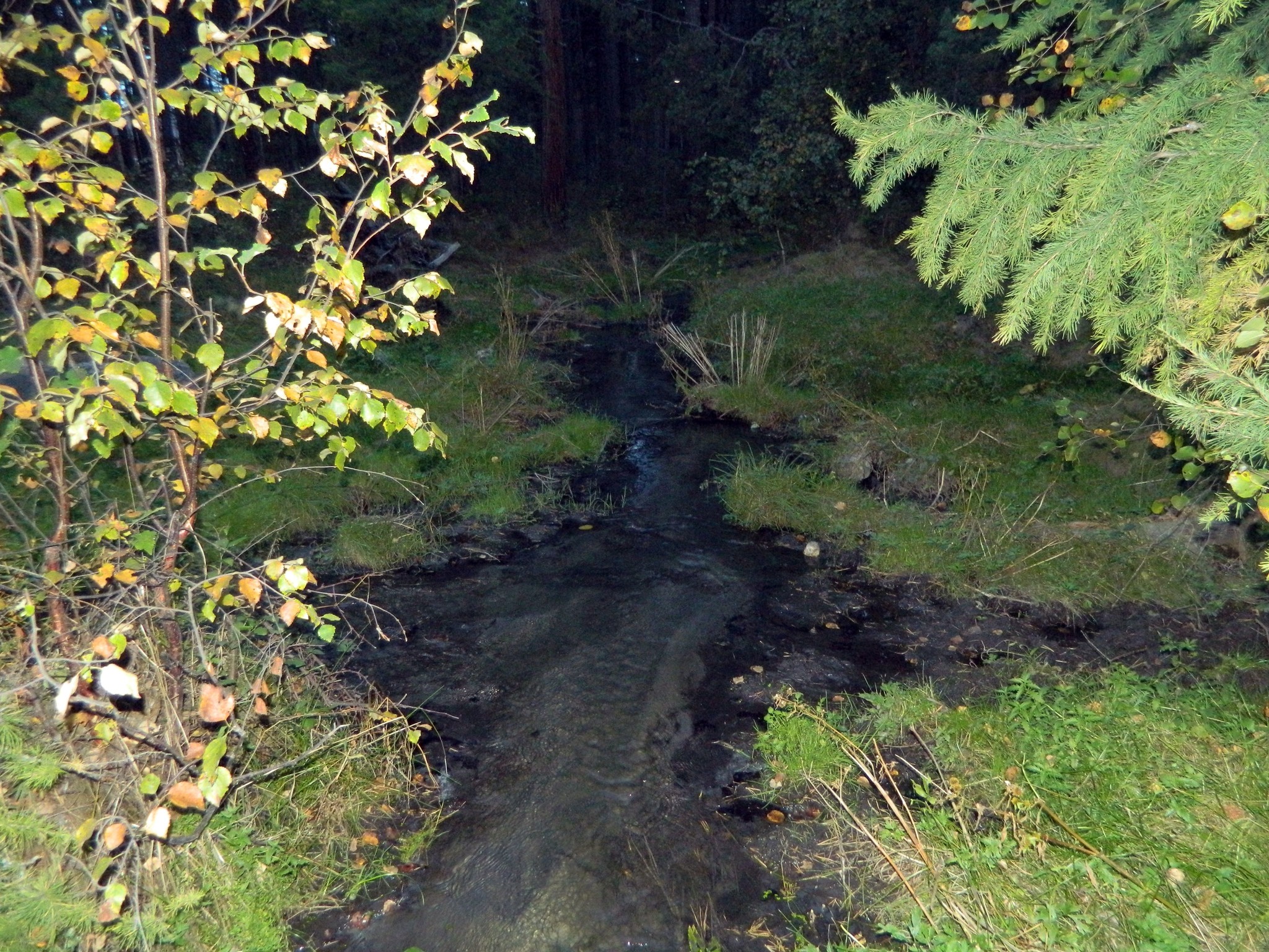 https://content.foto.my.mail.ru/mail/kosta999/50/h-3592.jpg