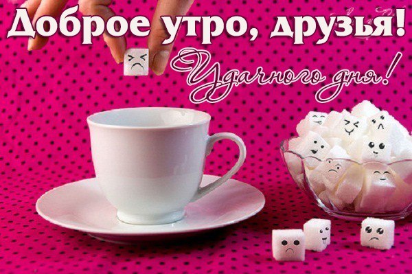 Раз первый, доброе утро другу картинки прикольные