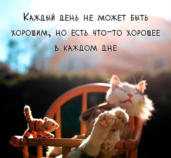 false