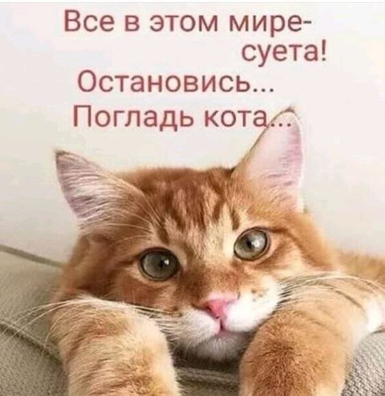 false