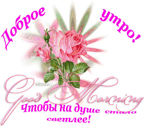 http://content.foto.my.mail.ru/mail/liliya2008-71/_guestbook/i-1302.jpg