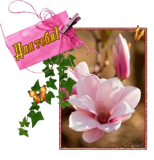 Спасибо открытки весенние. Благодарность весенние цветы. Открытки спасибо весенние. Приветик цветочный. От меня приветик и цветов букетик.