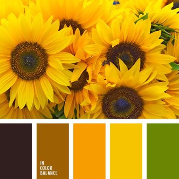 Темный оранжево желтый цвет. Цветовая палитра желтый. Палитра цветов желтый. Сочетание желтого и коричневого. Желто коричневая палитра.