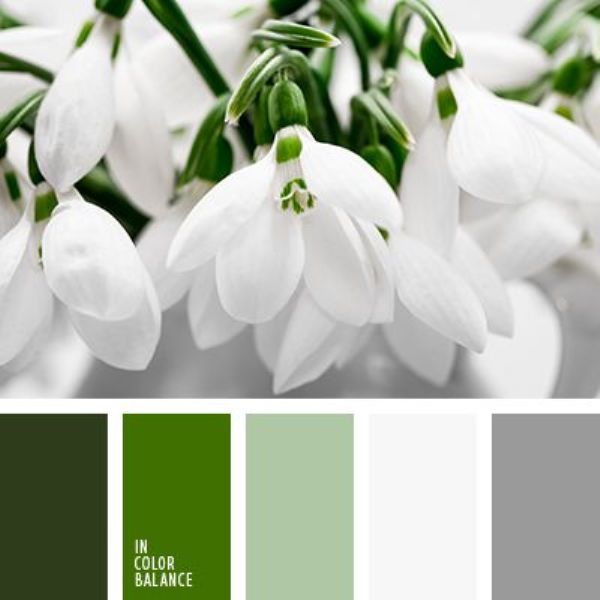 Зеленое серебро цвет. Палитра белый серый зеленый. Сочетание цветов белый зеленый. Цветовая палитра белый зеленый. Сочетание цветов с белым.