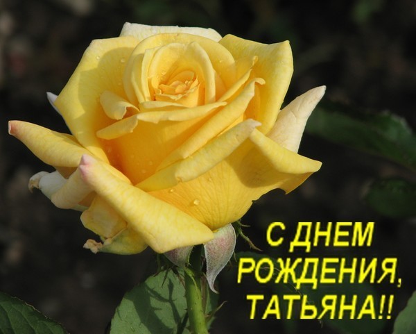 Открытки, танюха с днем рождения открытки