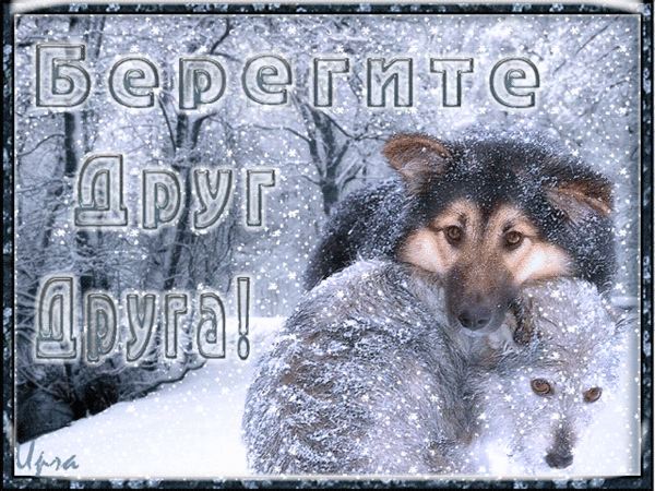 Не замерзайте друзья