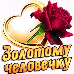 Овен смешные, картинки тебе моя золотая