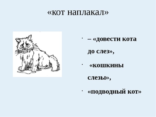 Кот наплакал картинка