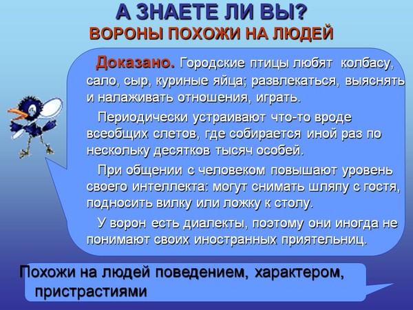 А вы знаете эту. А знаете ли вы что интересные факты. А знаете ли вы что интересные факты для детей. Рубрика а знаете ли вы для детей. Интересная информация для школьников.