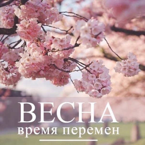 Весна время планов и предложений