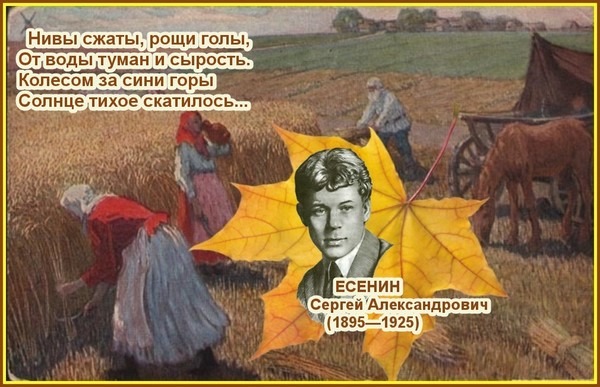 Стихотворение есенин нивы. Стих Есенина Нивы сжаты. Стихотворение Есенин Нивы сжаты Рощи.