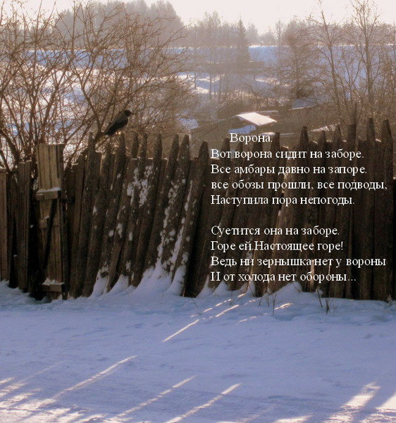 Стихотворение рубцова первый снег. Ворона сидит на заборе. Стихи Николая Рубцова о зиме. Рубцов первый снег.
