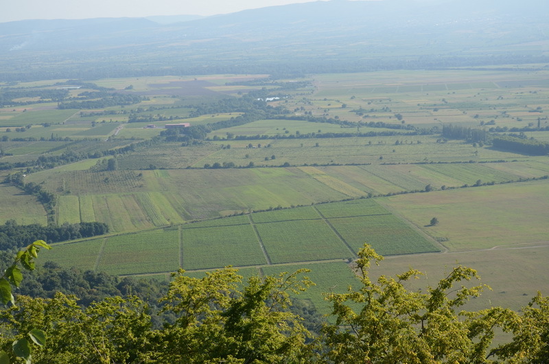 h-2681.jpg