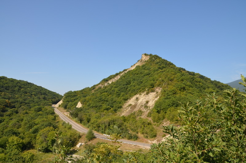 h-2733.jpg