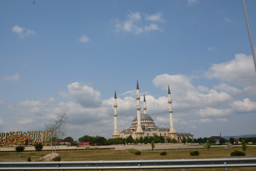 h-3976.jpg