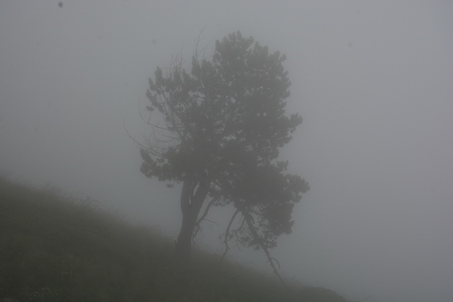 h-4036.jpg