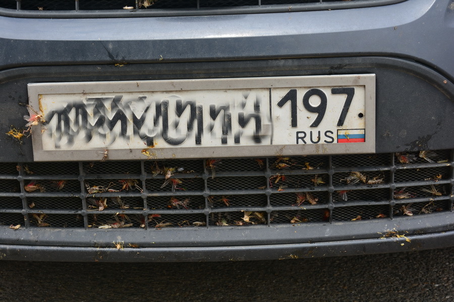 h-4045.jpg