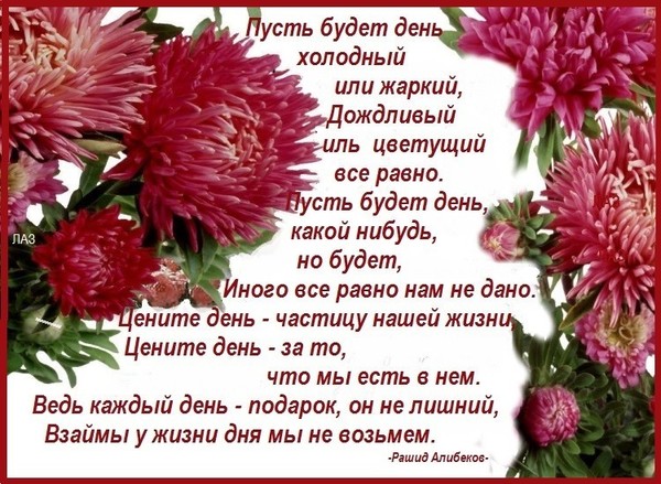 Стих чем жарче день. Цените день частицу нашей жизни. Стих холодный день. Пусть будет день Цветущий или жаркий. Цените день частицу нашей жизни цените день за то что мы есть в нем.