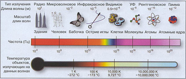 Используя рисунки на форзацах укажите диапазоны всех видов излучений