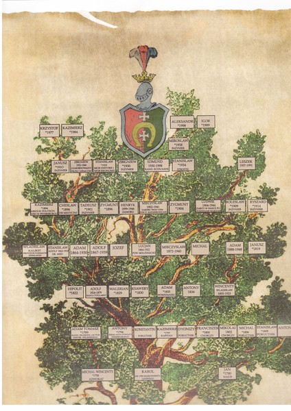 Фамилия корень. Генеалогическое дерево Польши. Корни фамилии. Древо Раковских. Родовое дерево Захаровых.