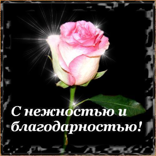 Открытка с благодарю и прощения