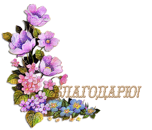 Кот кошка, благодарность татьяне открытки