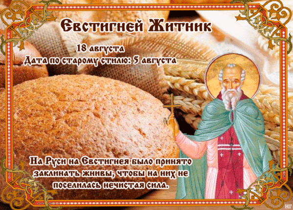 18 августа на календаре. Евстигней Житник. Евстигней Житник 18 августа. Евстигней Житник народный праздник. Народные праздники на 18 августа Евстигней Житник