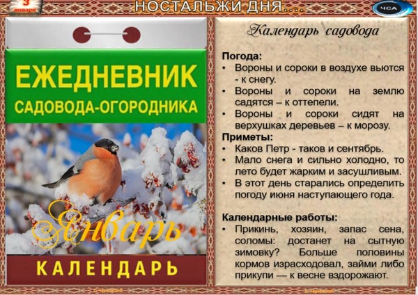 Календарь народных примет на январь 2025 года