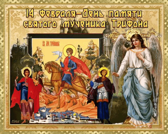 14 мая церковный праздник. 14 Февраля день Святого Трифо. 14февраоя день свчтого трифола.
