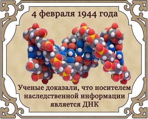 4 февраля день. 4 Февраля праздник Тимофеев день. Открытка Тимофеев день. 4 Февраля полузимник.