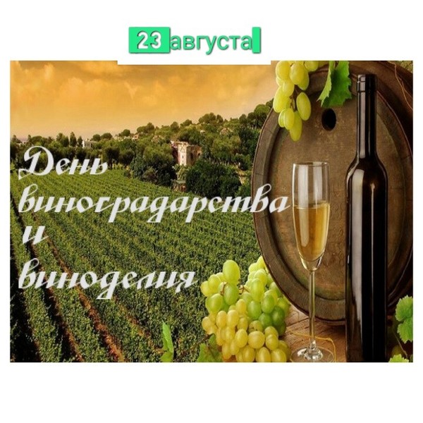 1 мая вино. День виноградарства и виноделия. День виноградарства и виноделия в Республике Крым. День виноградарства и виноделия 23 августа. Виноградник с радником.
