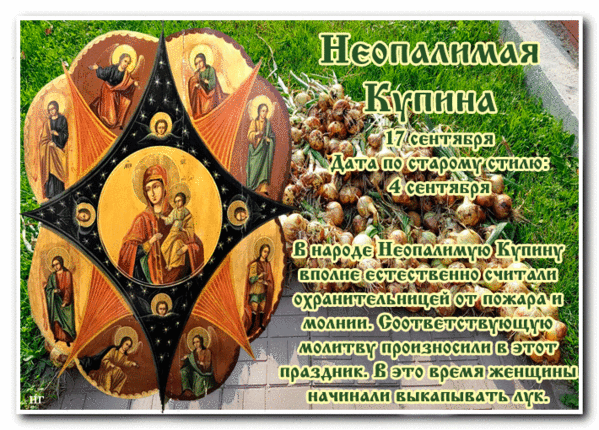 Праздники 17 мая картинки