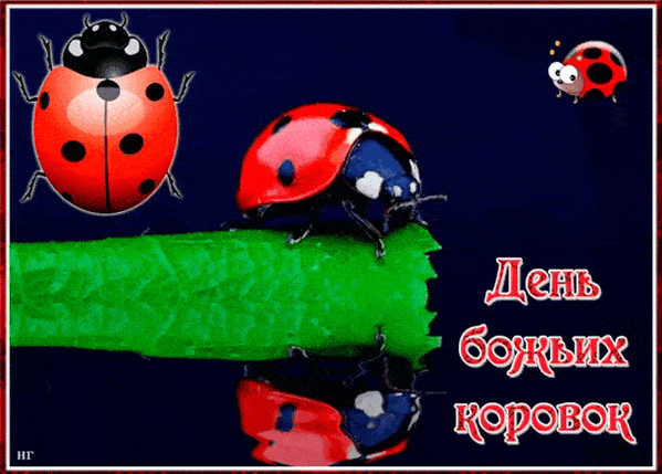 День Полета Божьей Коровки Картинки