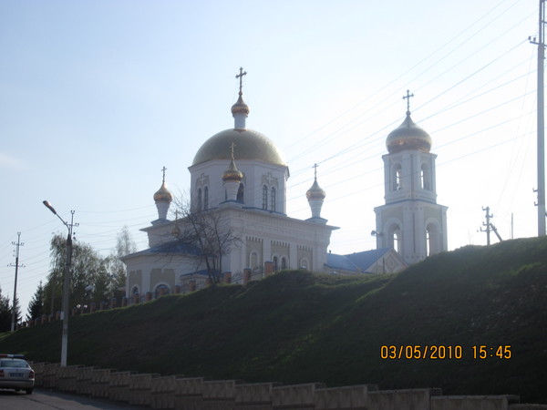 Пион золотые купола описание и фото