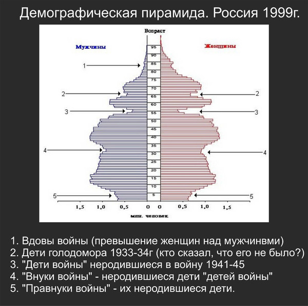 На диаграмме изображена половозрастная пирамида. Половозрастная пирамида России. Возрастно-половая пирамида России 2021. Половозрастная пирамида России 1999 год. Половозрастная пирамида России 2015.